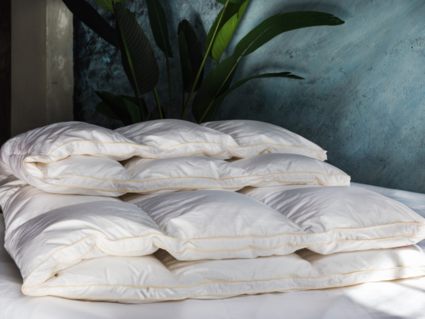 Одеяло German Grass Queen Down Grass всесезонное